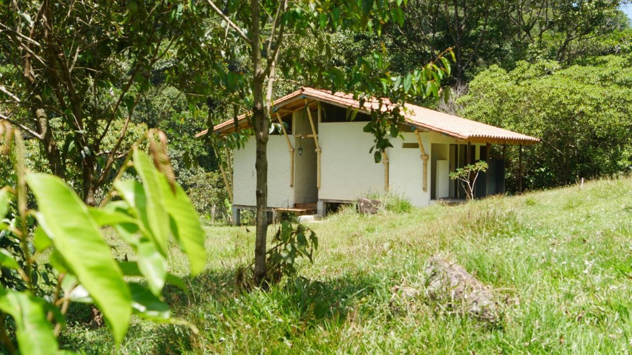 La Perla Negra - Black Pearl Eco Hostel San Rafael  Exteriör bild
