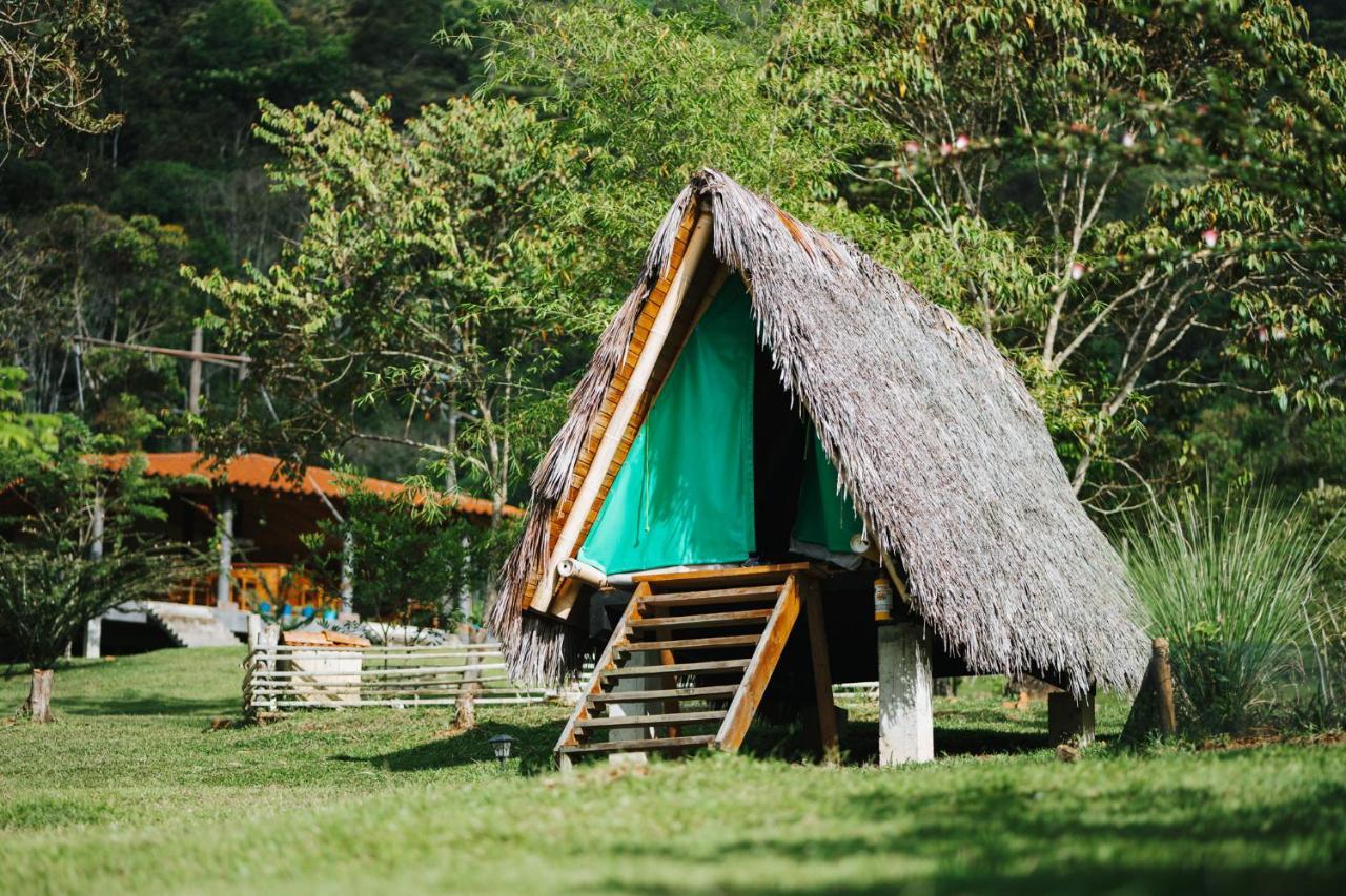 La Perla Negra - Black Pearl Eco Hostel San Rafael  Exteriör bild