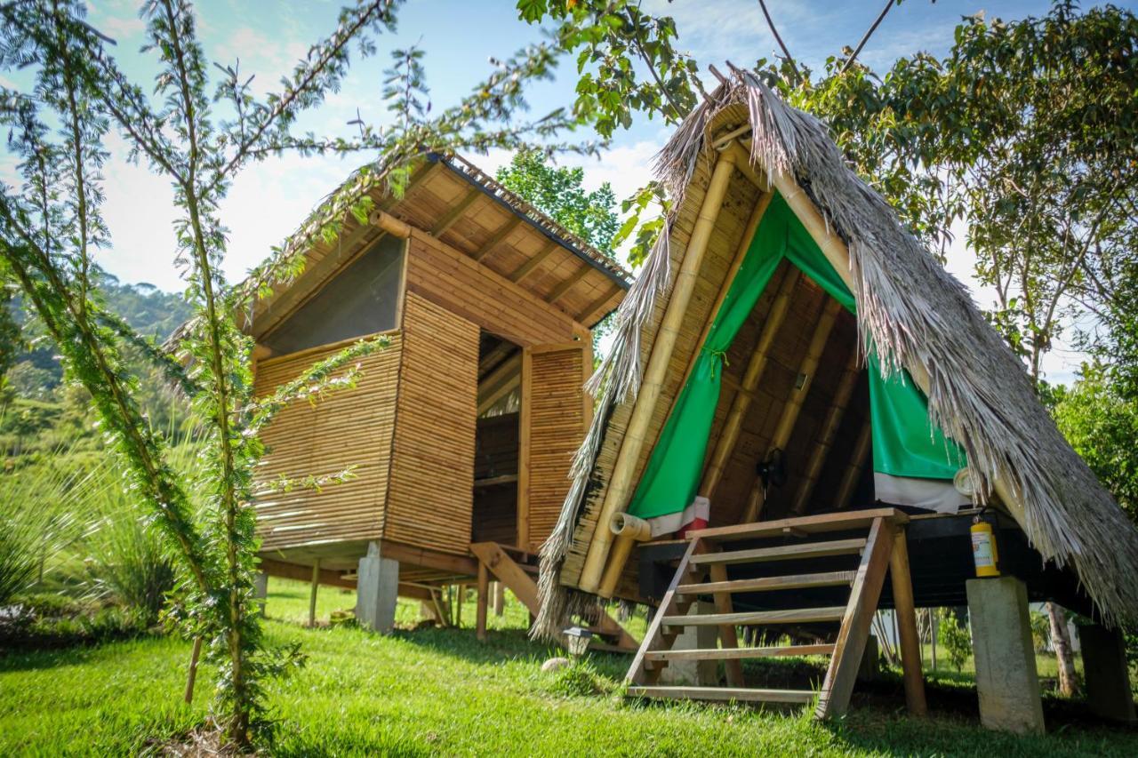La Perla Negra - Black Pearl Eco Hostel San Rafael  Exteriör bild