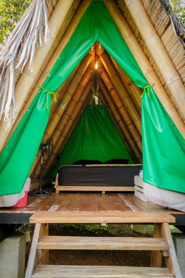 La Perla Negra - Black Pearl Eco Hostel San Rafael  Exteriör bild