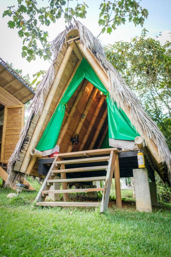 La Perla Negra - Black Pearl Eco Hostel San Rafael  Exteriör bild