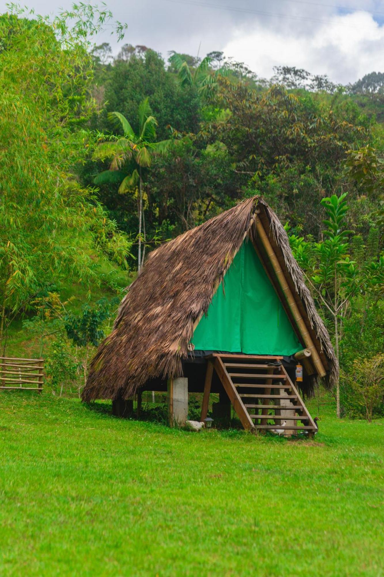 La Perla Negra - Black Pearl Eco Hostel San Rafael  Exteriör bild