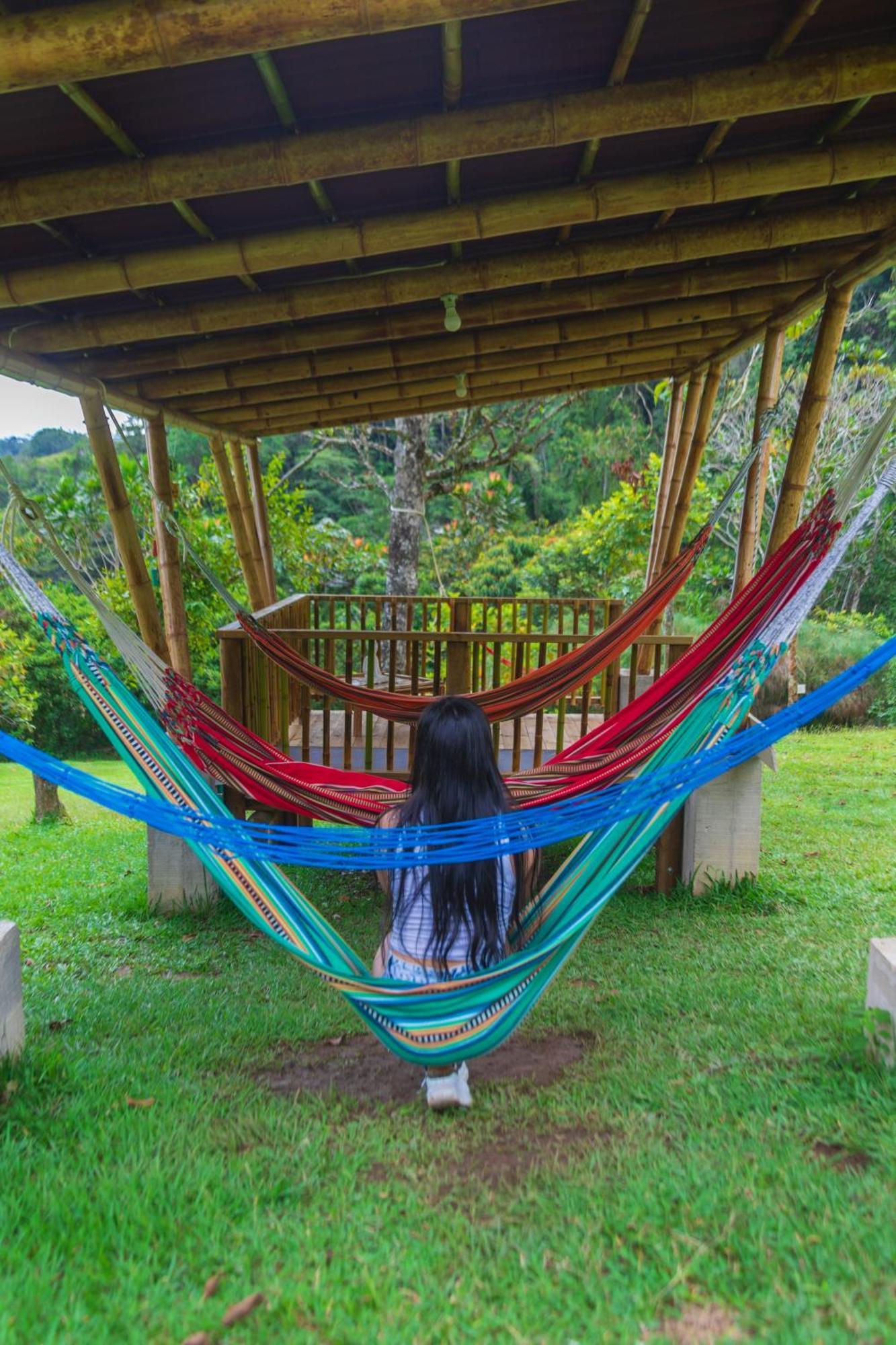 La Perla Negra - Black Pearl Eco Hostel San Rafael  Exteriör bild