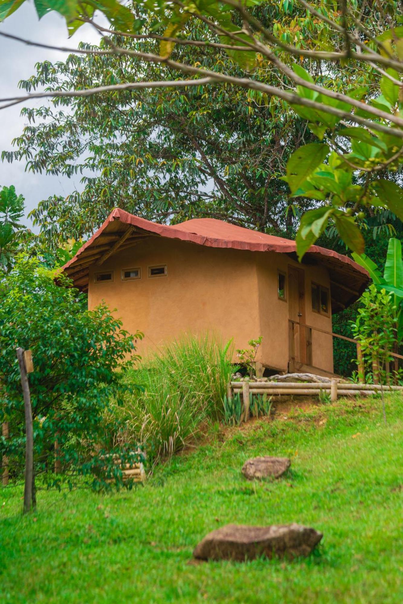 La Perla Negra - Black Pearl Eco Hostel San Rafael  Exteriör bild